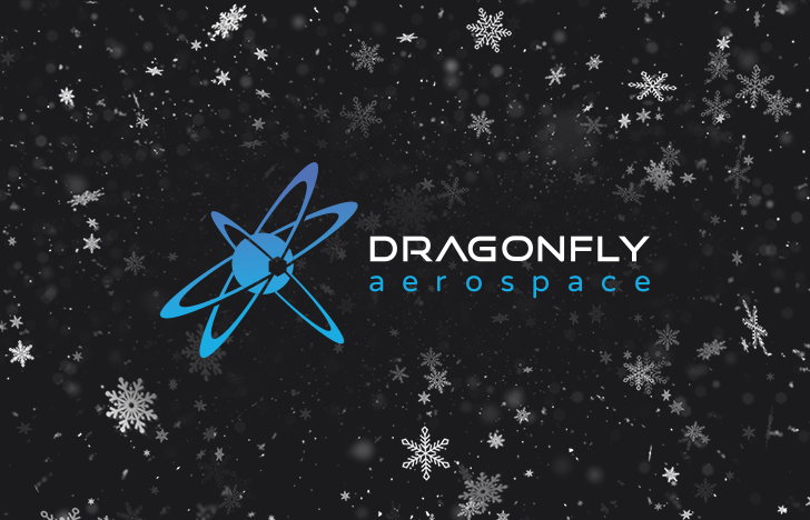 Dragonfly’s Year Milestones