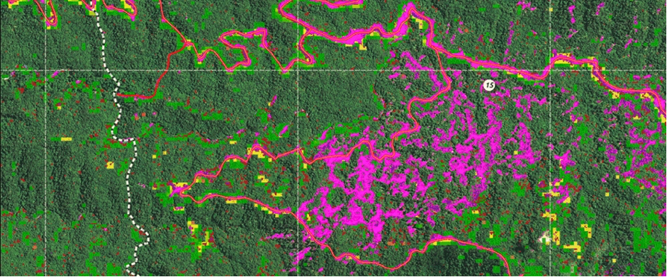 Remote sensing forest coverage